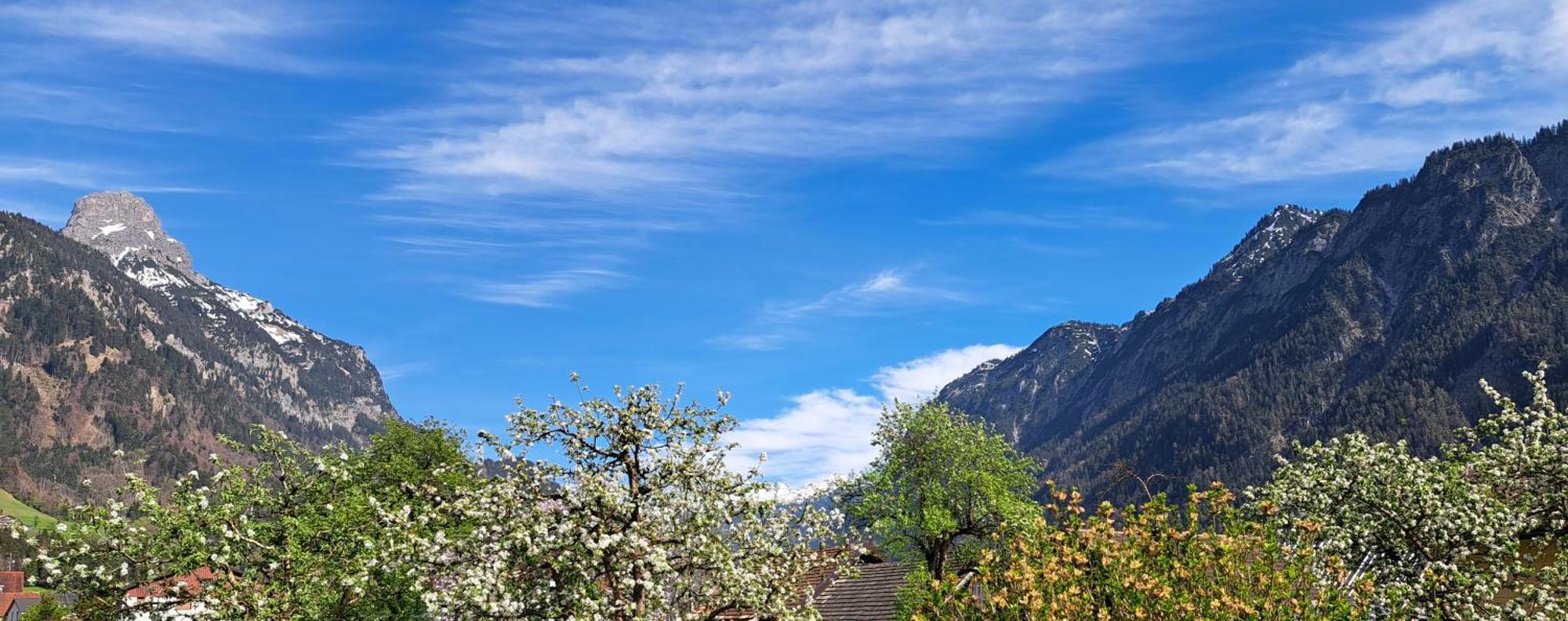 Baers Mountain Stay Ausserbraz Innerbraz Екстериор снимка