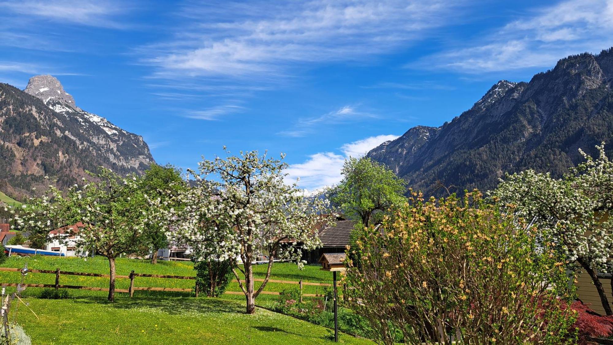 Baers Mountain Stay Ausserbraz Innerbraz Екстериор снимка