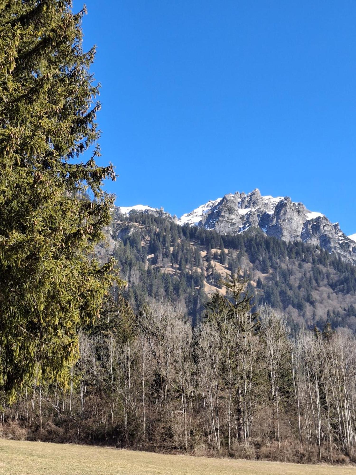 Baers Mountain Stay Ausserbraz Innerbraz Екстериор снимка