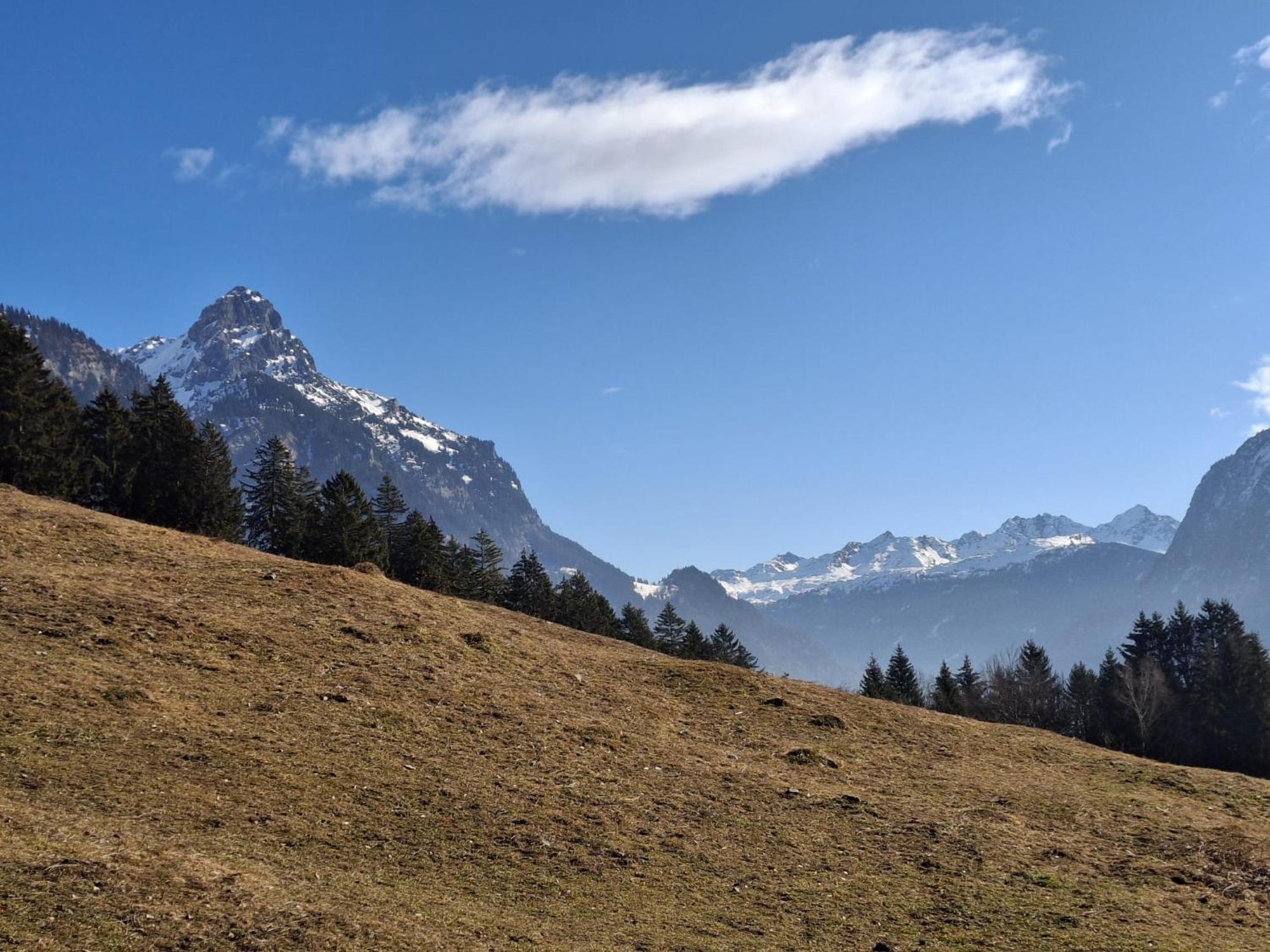 Baers Mountain Stay Ausserbraz Innerbraz Екстериор снимка